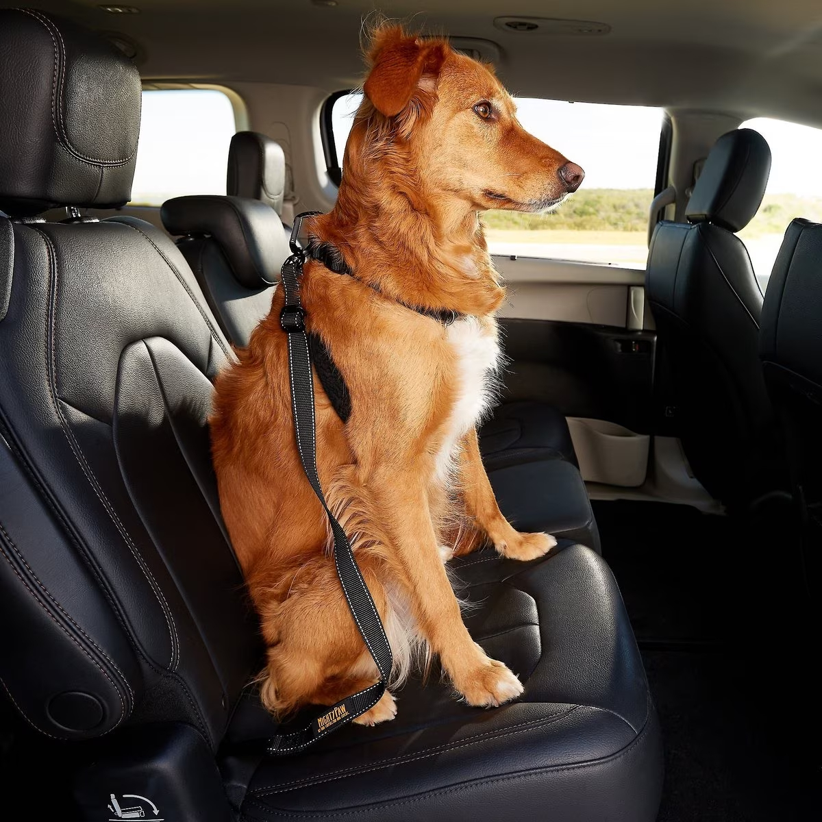 Mighty Paw Dog Vehicle Safety Belt