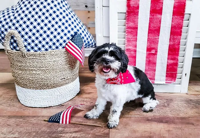 No-Sew Over-the-Collar Bandana