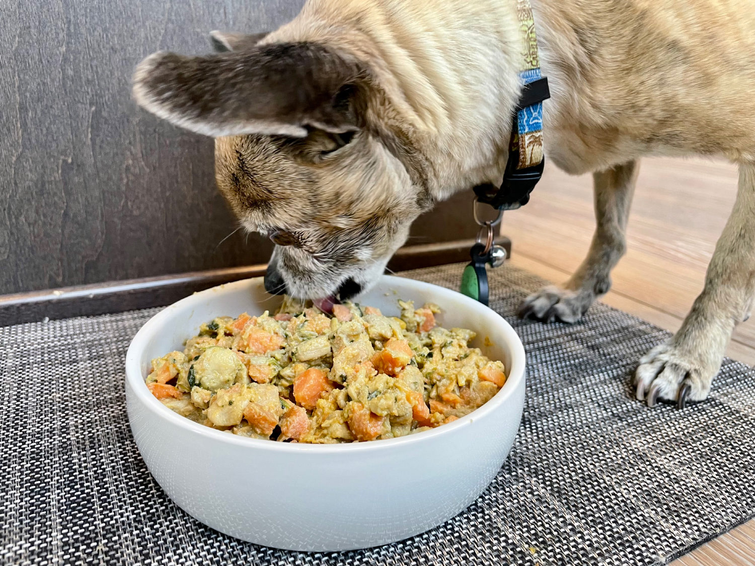 Nom Nom Subscription Dog Food papyrus eating nom nom fresh food - Nom Nom Dog Food Subscription Review 2024: Our Expert’s Breakdown