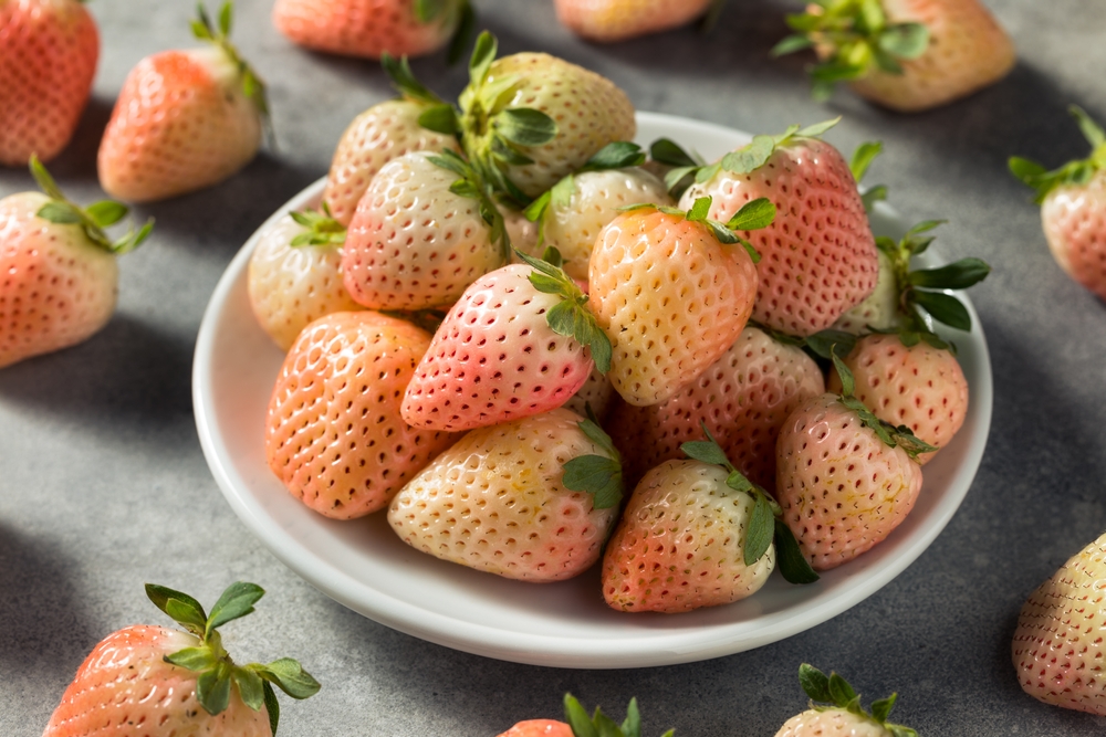 Organic Raw Pink Pineberries Strawberry in a Bowl