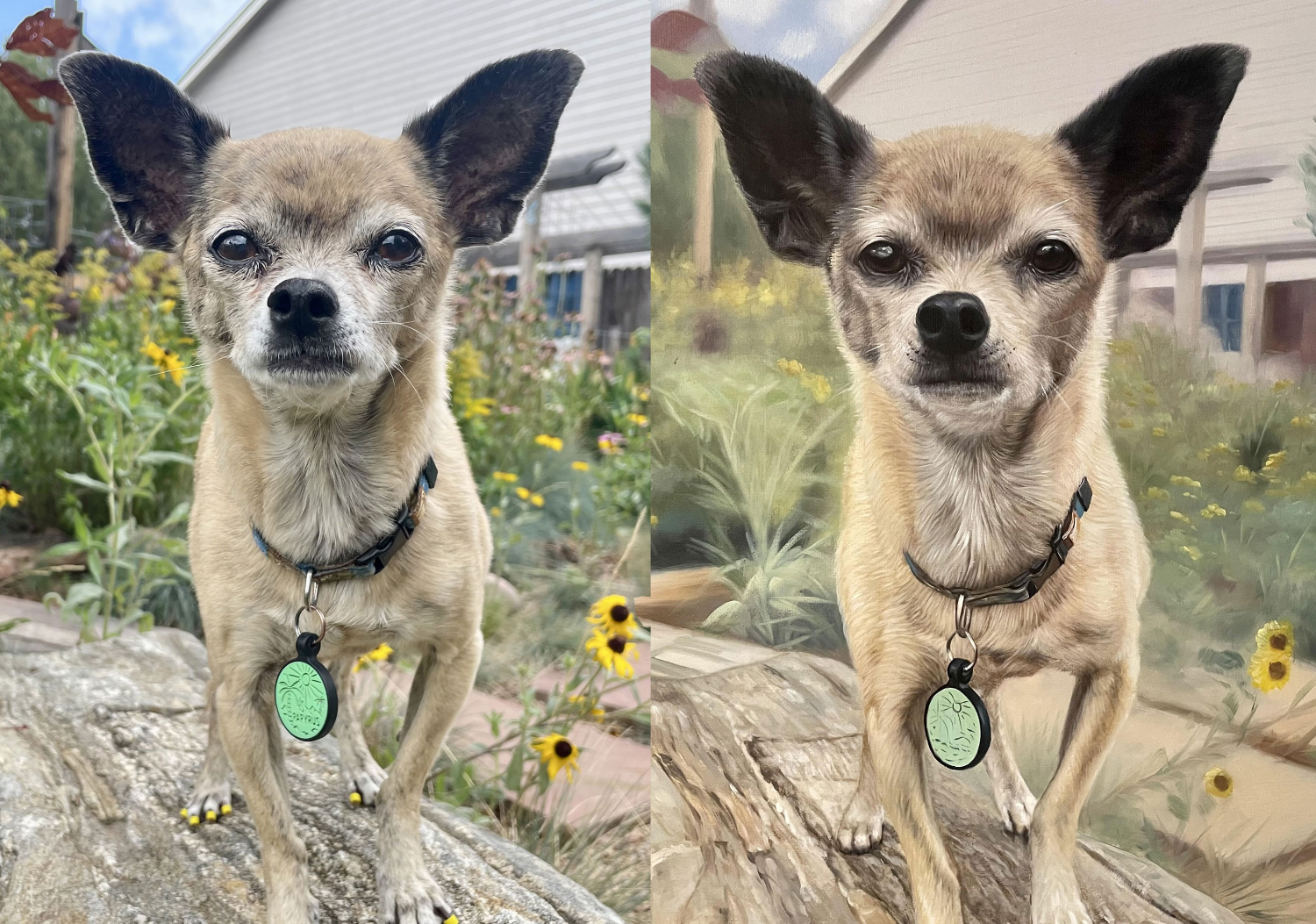 PortraitFlip Pet Portrait - papyrus side by side with the product