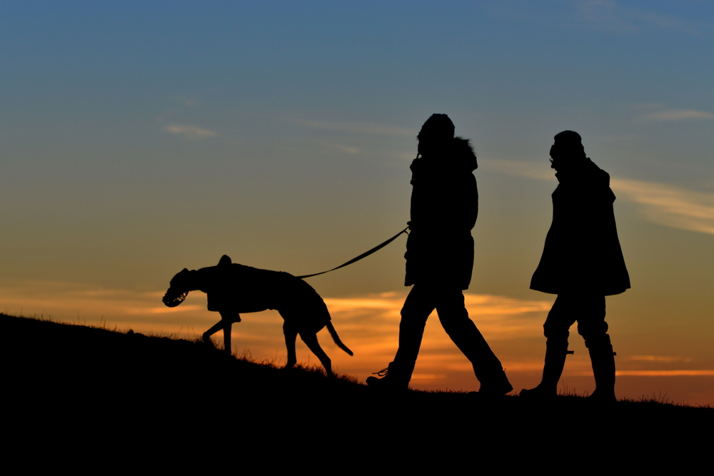 Silhouetted View of People Walking a Dog on a Hill against a Sky at Sunset