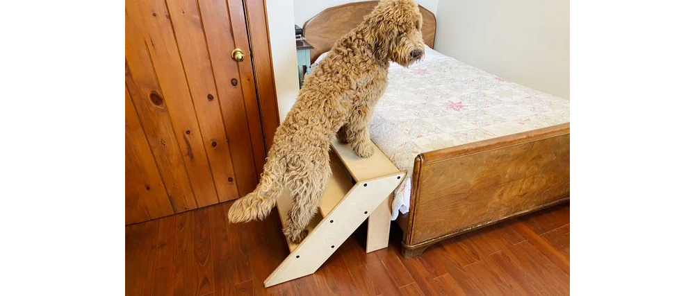 Sturdy DIY Dog Stairs