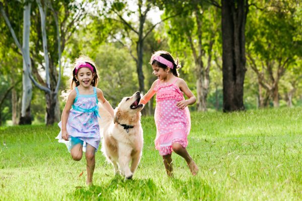 Two young girls running with golden retriever in park