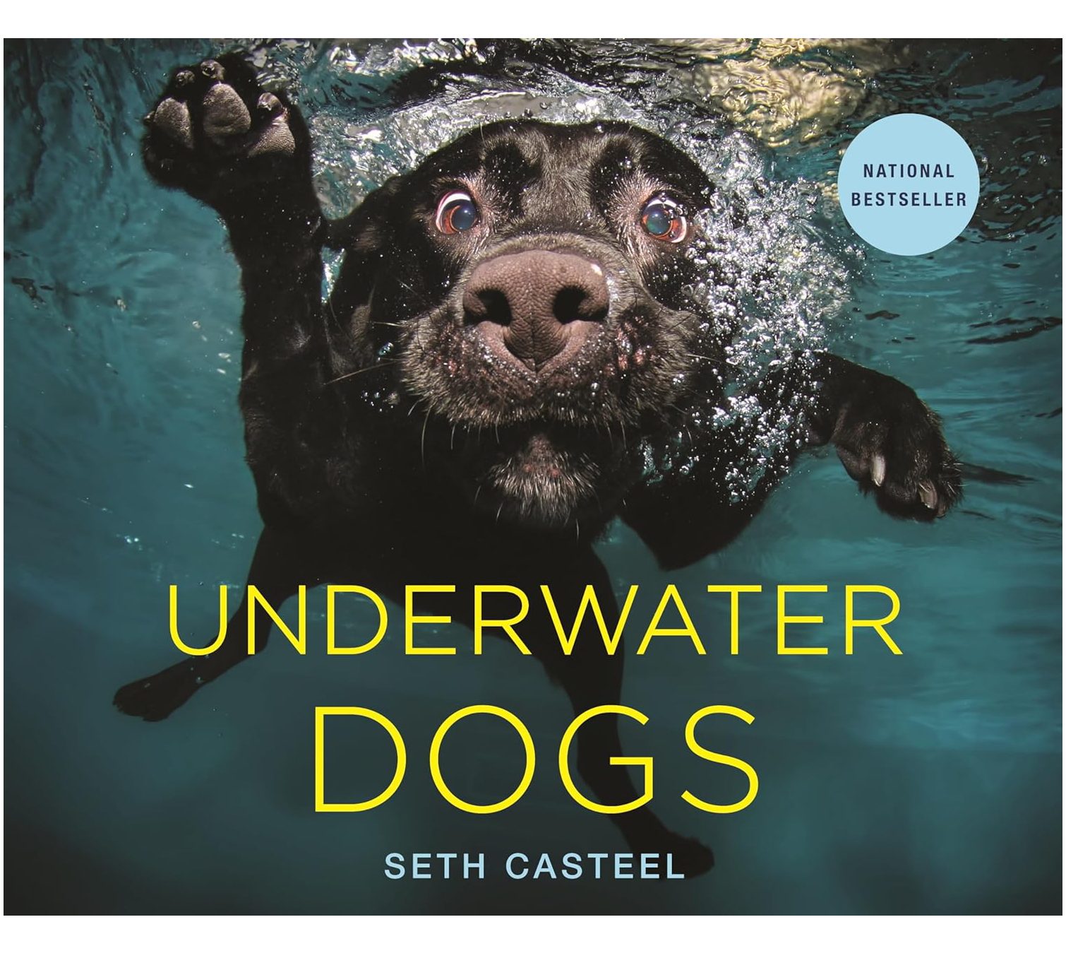 Underwater Dogs Coffee Table Book new
