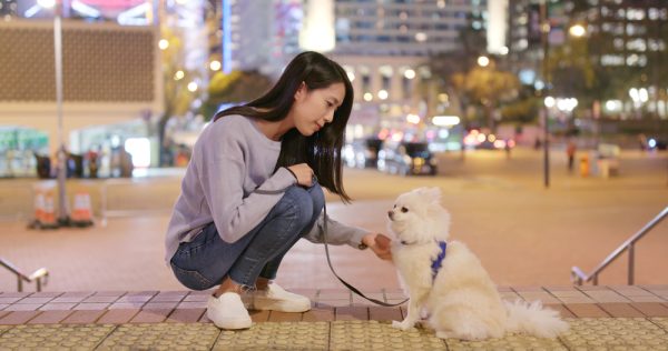 Woman go out with her dog in city at night