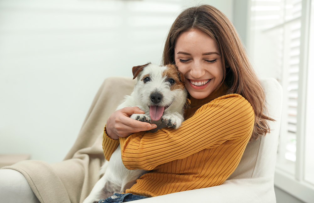 Young woman with her cute Jack Russell Terrier at home