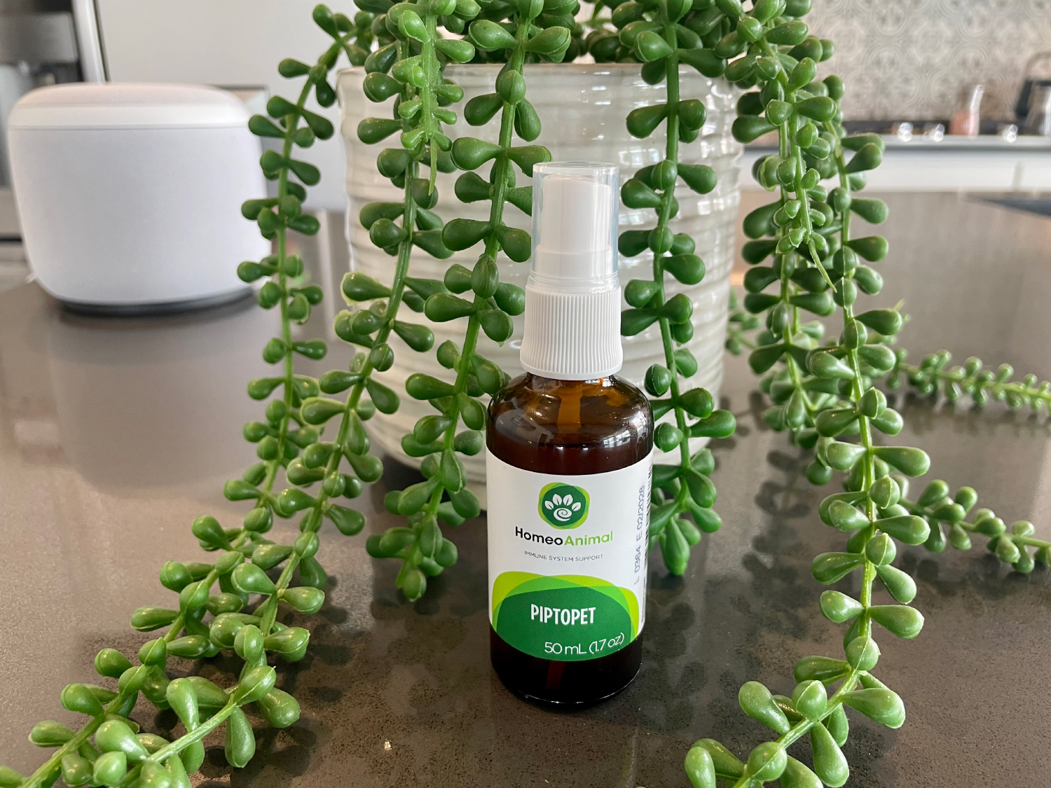 Zumalka Piptopet product on the counter - Zumalka Piptopet Supplement Review 2024: An Expert Breakdown