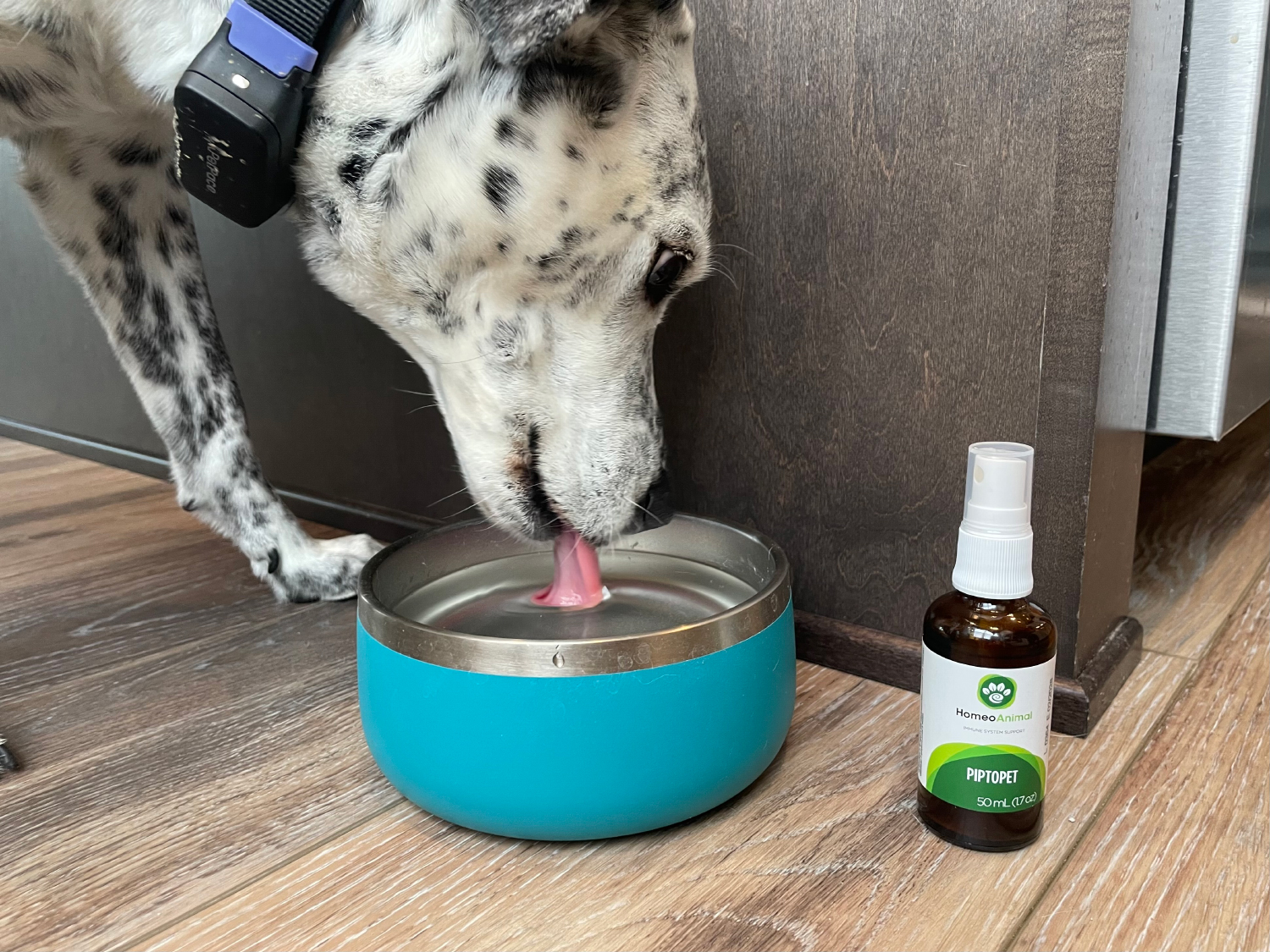 Zumalka Piptopet ragz drinking water with the supplement - Zumalka Piptopet Supplement Review 2024: An Expert Breakdown
