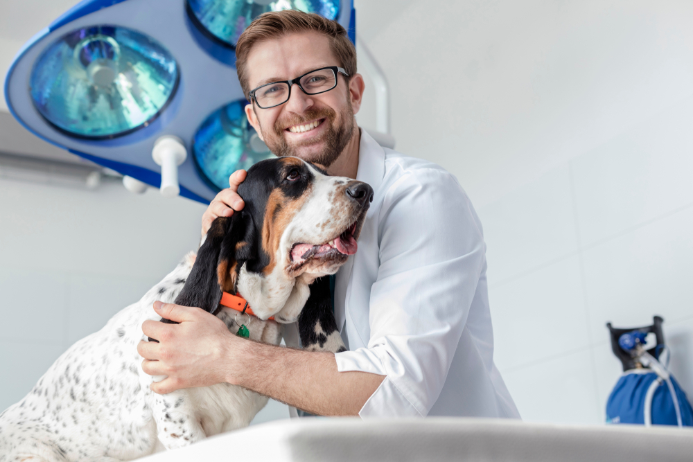 a smiling male vet with dog at the clinic