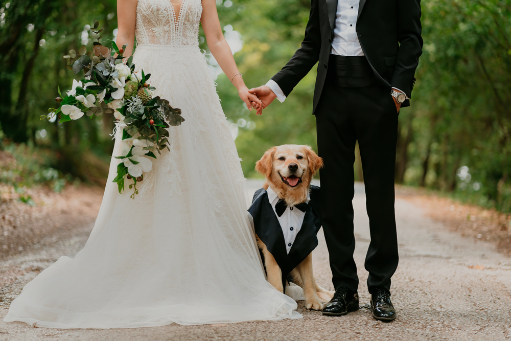 bride and groom with their pet dog at their wedding