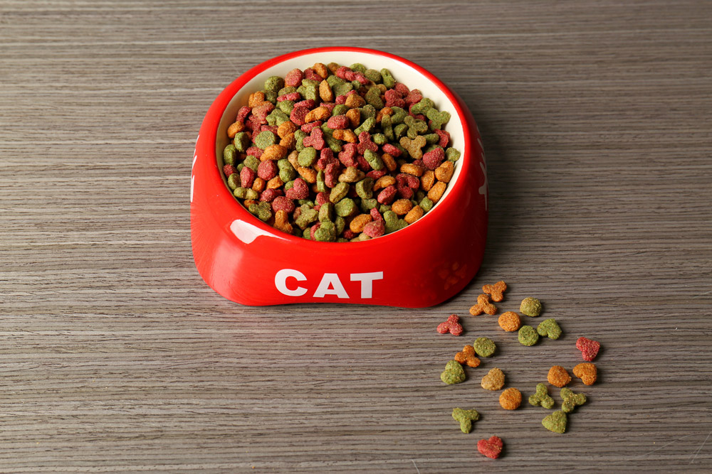 cat food in bowl and wooden surface