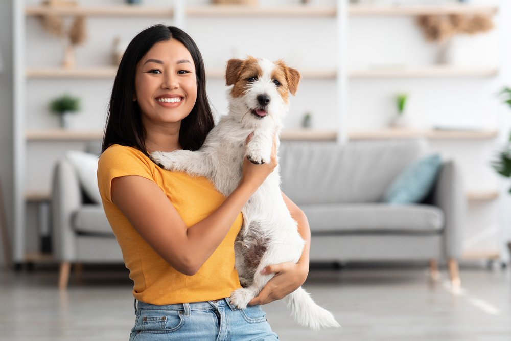 cheerful young asian woman in casual outfit carrying her sweet fluffy dog jack russel terrier dog