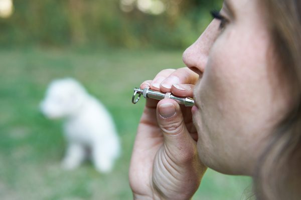 close up woman using dog whistle