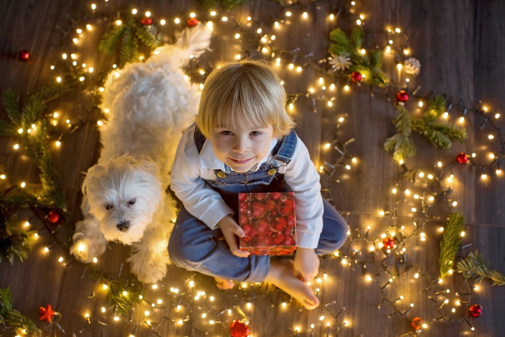 cute little boy with his pet around Christmas string lights on floor