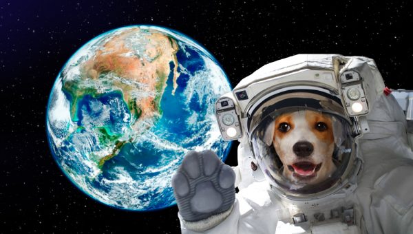 dog astronaut in space on background of the globe