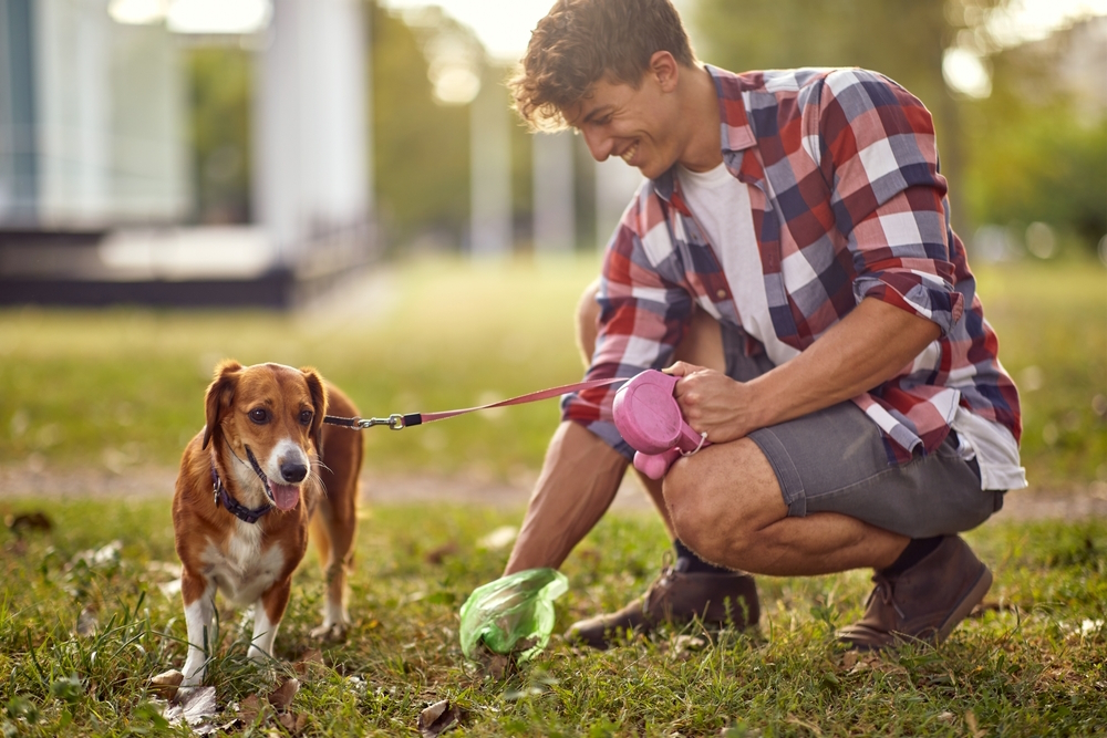 dog owner picking up dog poop Lucky Business Shutterstock - 10 Best Biodegradable Dog Poop Bags in 2024 – Reviews &amp; Top Picks
