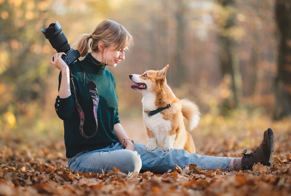 Dog photographer with a corgi in the forest