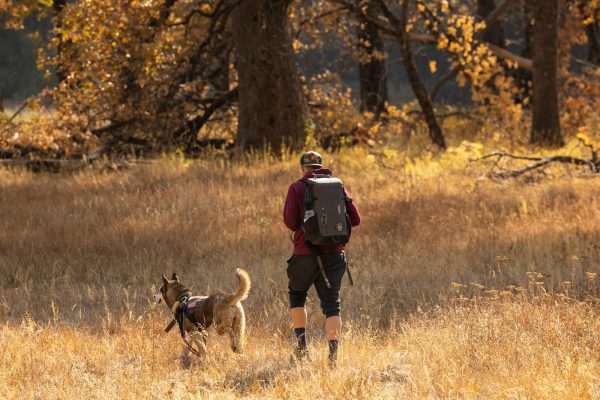 man in black and red jacket and black pants carrying black and brown dog on brown