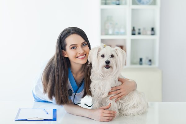 female veterinarian and a white dog in the clinic