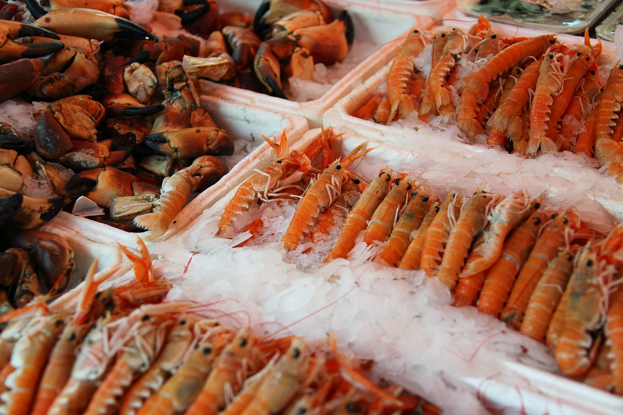 fresh seafood at the market