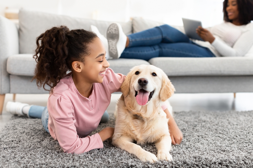 girl lying on rug floor carpet and embracing her pet labrador dog