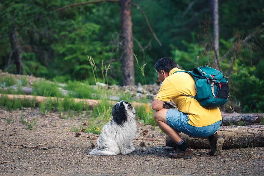 man and tibetan terrier look at each other in the forest