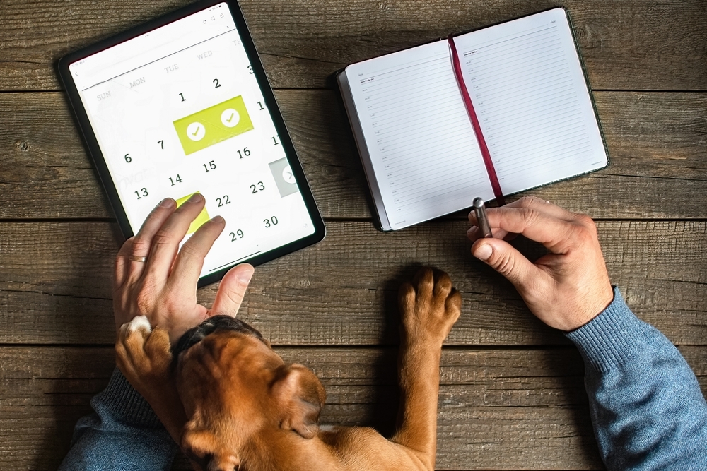 man planning schedules with his pet dog