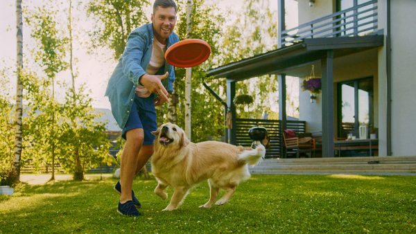 man playing frisbee with golden retriever dog