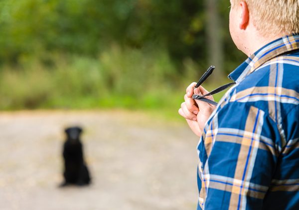 man training his dog with whistle