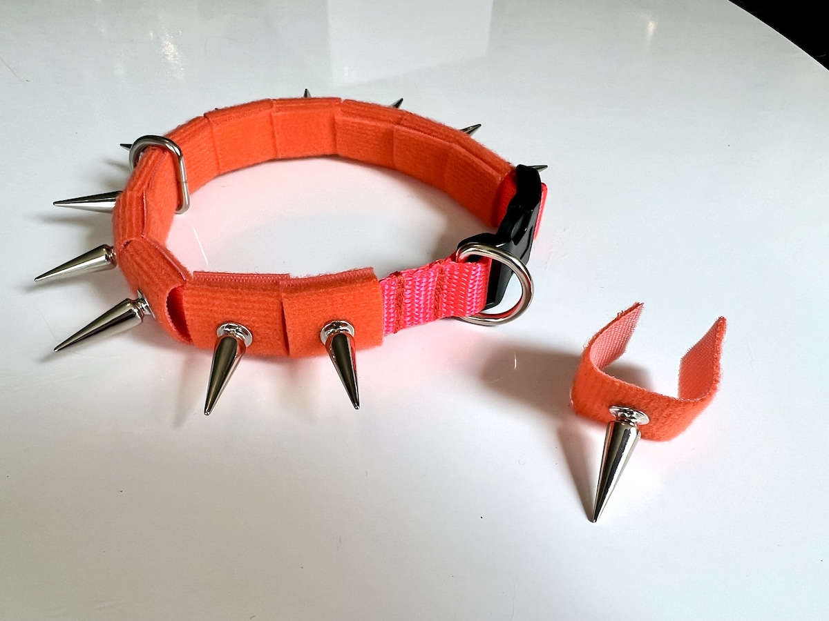 orange CoyoteCollar by CoyoteVest with removable spike