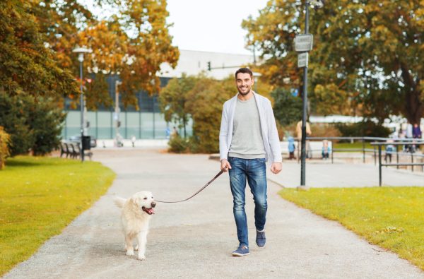 owner with dog strolling and walking at the park