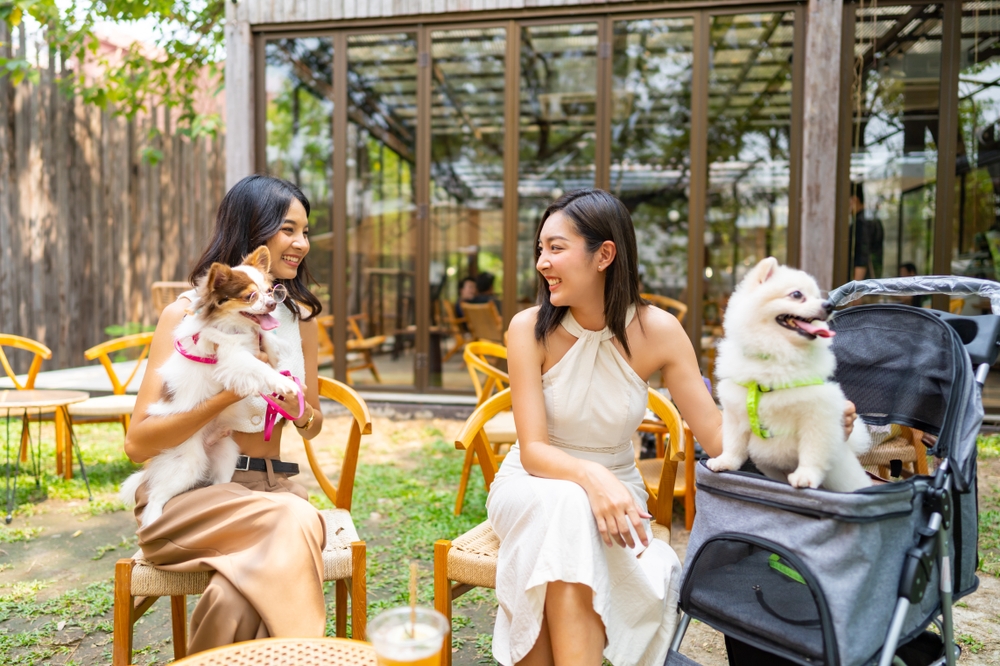 two women dog owners going out with their pets