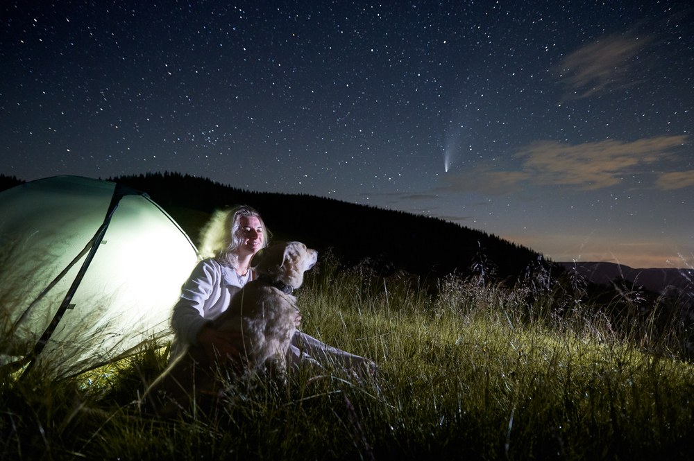 woman in the mountains observing beautiful starry night sitting with her dog next to tent at campsite