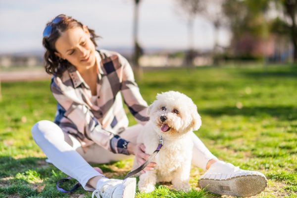 woman playing with her bichon frise dog at the park
