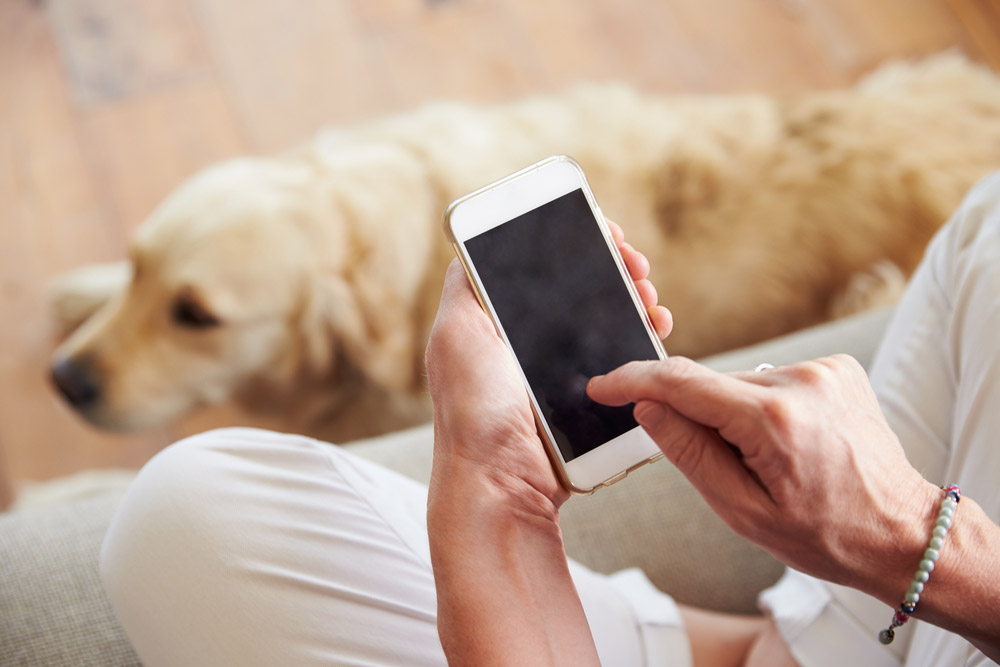 woman using smartphone with her dog on the background
