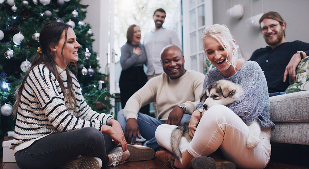 young dog surrounded with house guests during Christmas