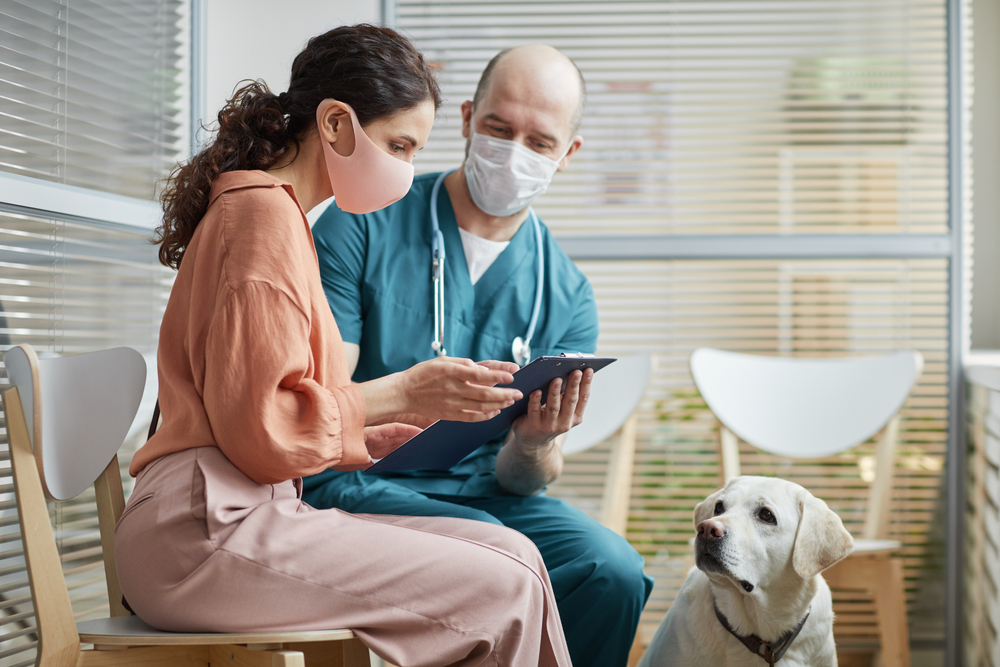 young woman talking to the vet