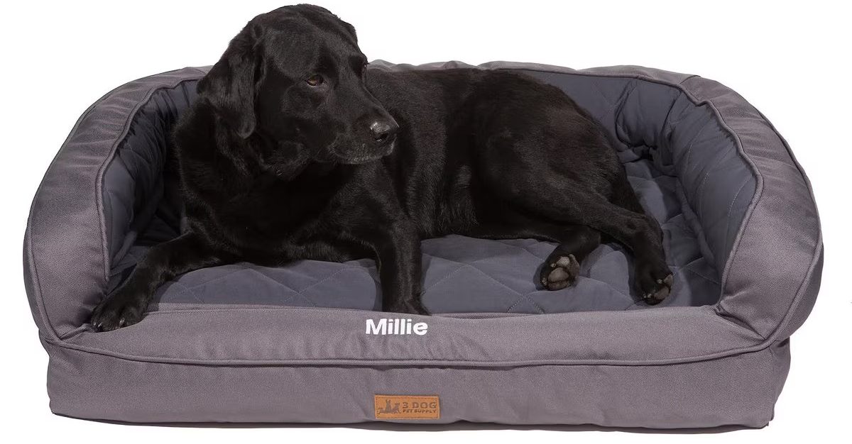 3 Dog Pet Supply EZ Wash Softshell Personalized Orthopedic Bolster Dog