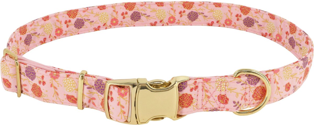 Accent Fashion Metallic Adjustable Dog Collar