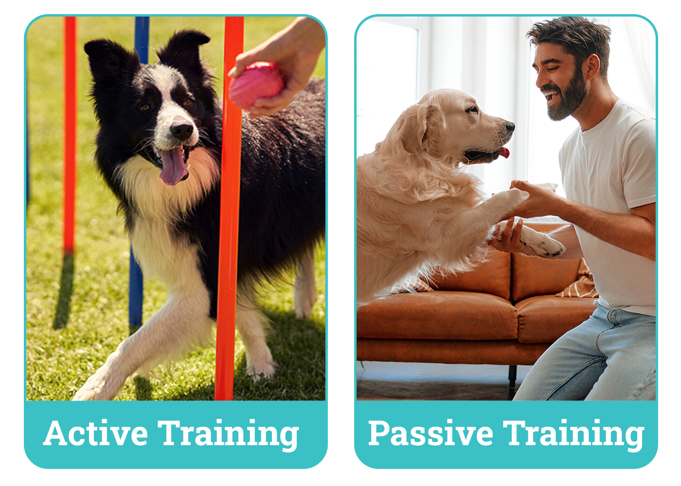 Active vs Passive Training side by side