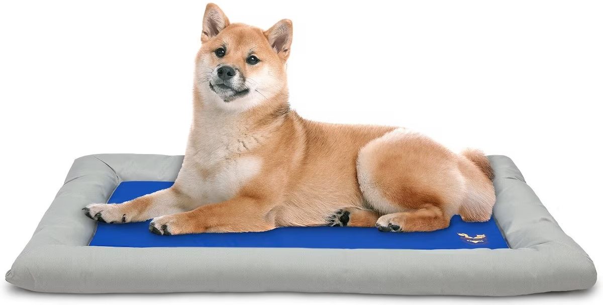 Arf Pets Self-Cooling Dog Bed