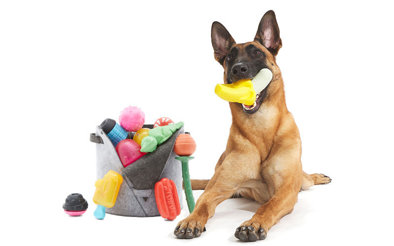 BarkBox Subscription