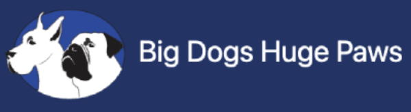 Big Dogs Huge Paws logo