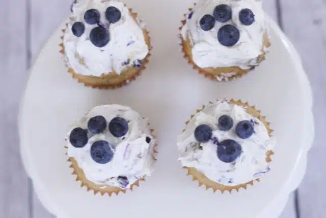 Blueberry Dog Cupcakes