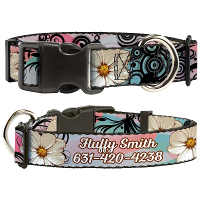 Buckle-Down Personalized Dog Collar