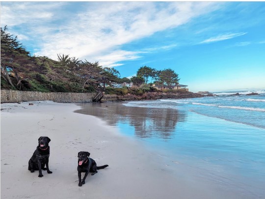 Carmel Beach
