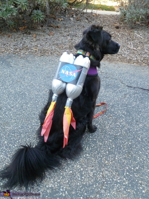 Costume Works_Rocket Dog Costume