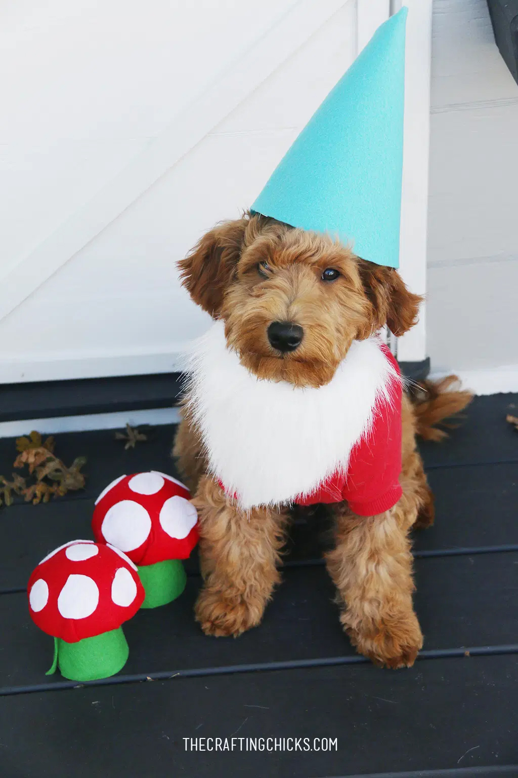 Crafting Chicks_DIY Dog Costume Garden Gnome
