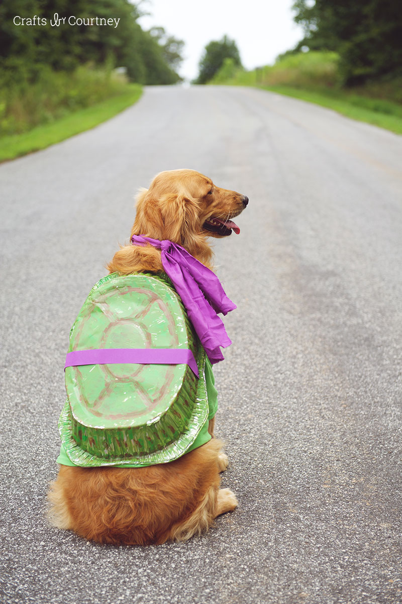 Crafts by Courtney_Fun Teenage Mutant Ninja Turtle Dog Costume